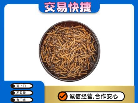 陇南西和县回收散虫草